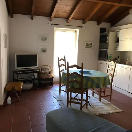 Apartment Zwischen Und Ascona Ganze By Interhome